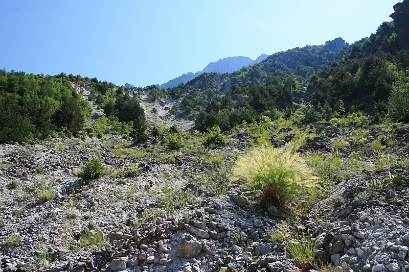 Albania 2008 179